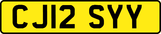 CJ12SYY