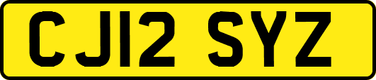 CJ12SYZ