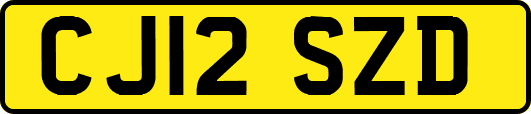 CJ12SZD