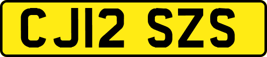 CJ12SZS