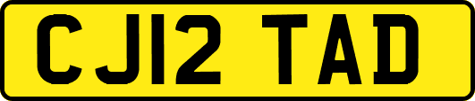 CJ12TAD