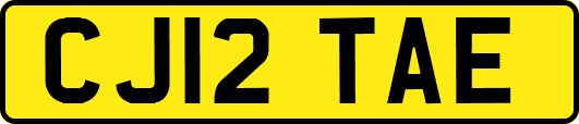 CJ12TAE