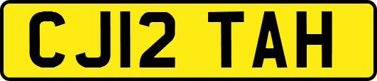 CJ12TAH