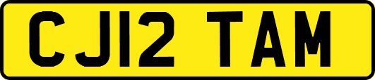 CJ12TAM