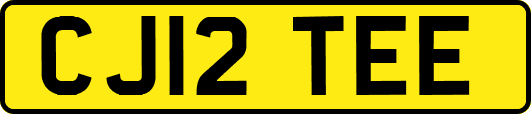 CJ12TEE