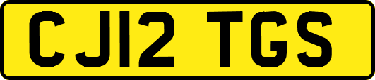 CJ12TGS