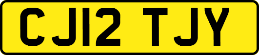 CJ12TJY