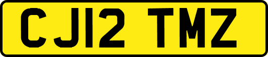 CJ12TMZ