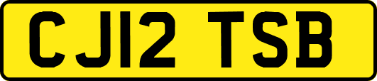 CJ12TSB