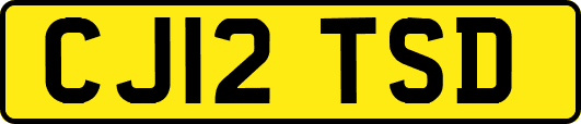 CJ12TSD