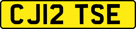 CJ12TSE