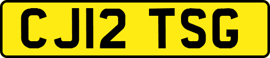 CJ12TSG