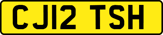 CJ12TSH