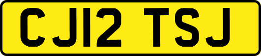 CJ12TSJ