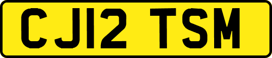 CJ12TSM