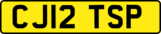CJ12TSP