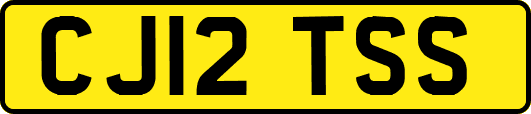 CJ12TSS