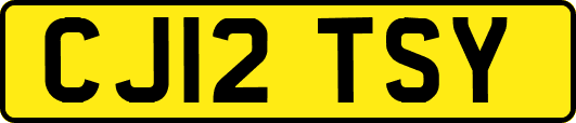 CJ12TSY