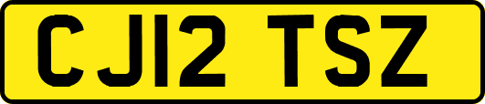 CJ12TSZ