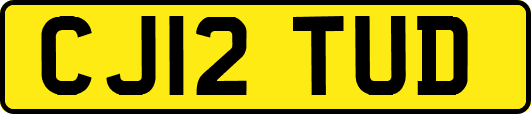 CJ12TUD