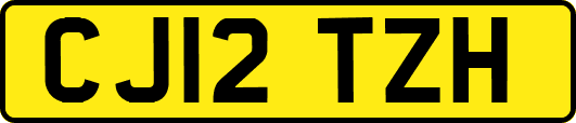 CJ12TZH
