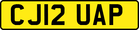 CJ12UAP