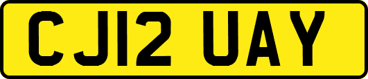 CJ12UAY