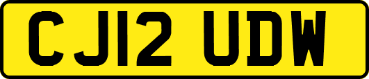 CJ12UDW