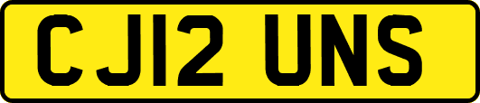 CJ12UNS