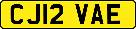 CJ12VAE