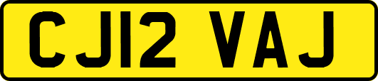 CJ12VAJ