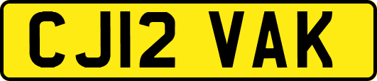 CJ12VAK