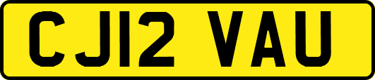 CJ12VAU