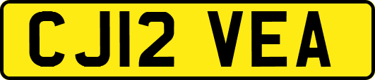 CJ12VEA