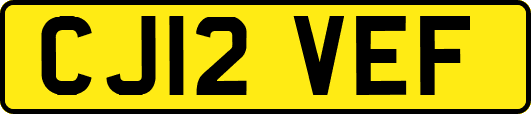 CJ12VEF