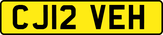 CJ12VEH