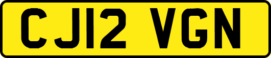 CJ12VGN