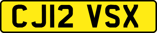 CJ12VSX