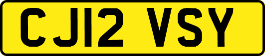 CJ12VSY
