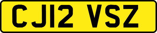 CJ12VSZ