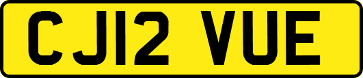 CJ12VUE