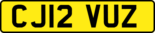 CJ12VUZ