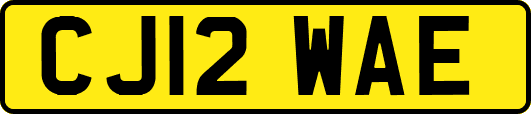 CJ12WAE