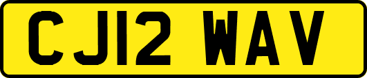 CJ12WAV