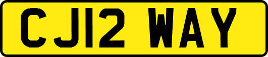 CJ12WAY
