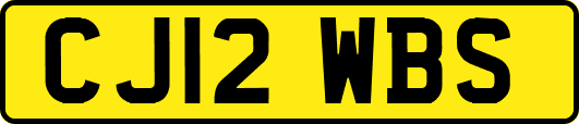 CJ12WBS