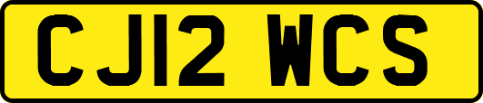 CJ12WCS