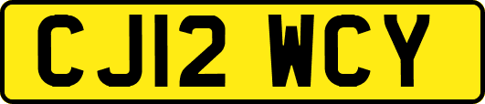CJ12WCY