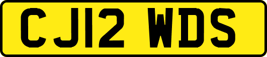 CJ12WDS