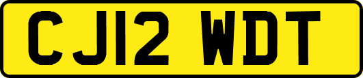 CJ12WDT